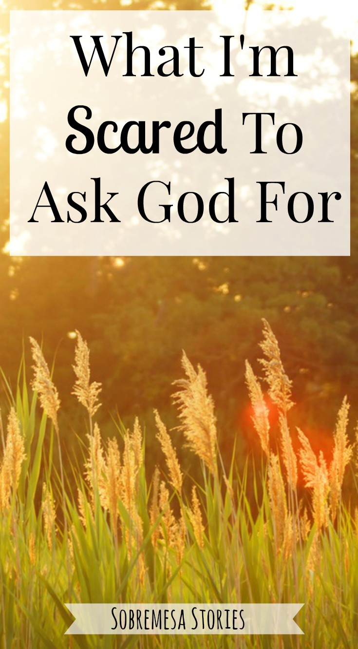 If you've ever been scared to ask God for something, you have got to check out this post!