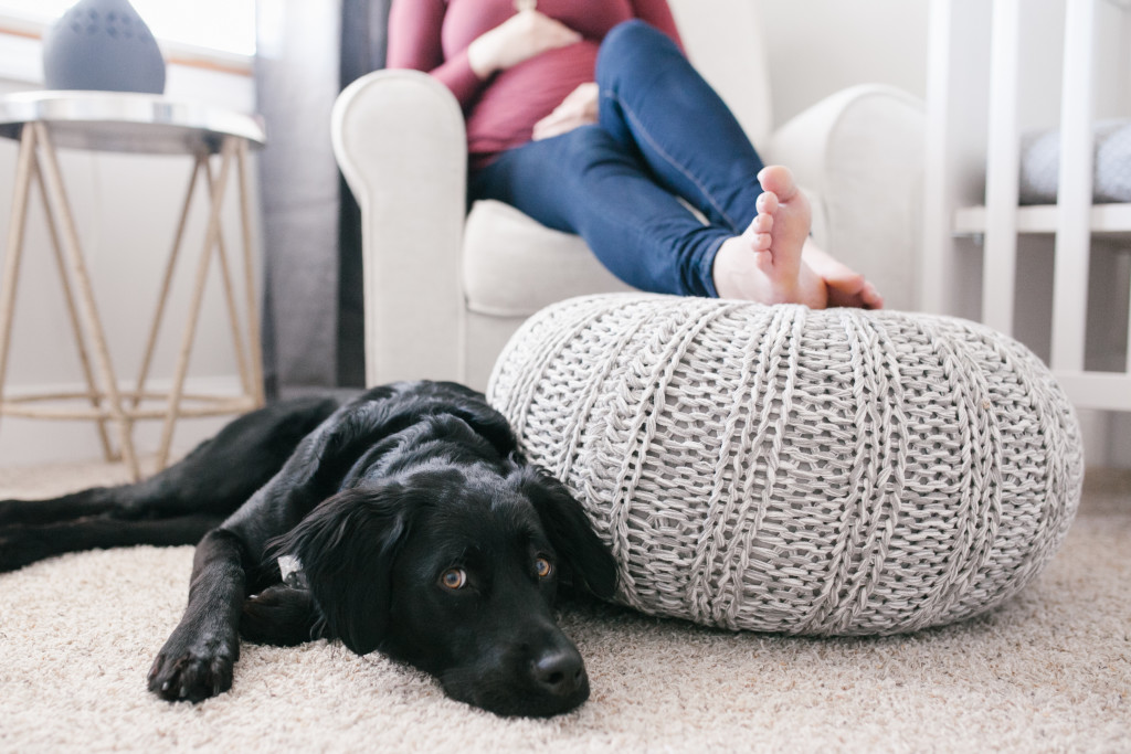 Caleb's Rustic Neutral Nursery Reveal With White, Gray, and Wood Accents Maternity Picture With Dog