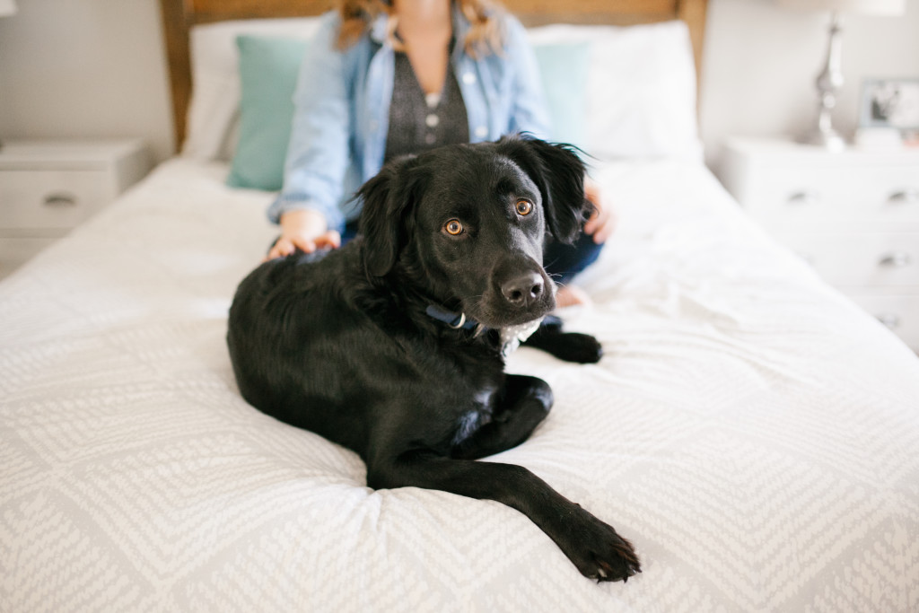 Cozy, Winter Maternity Pictures 