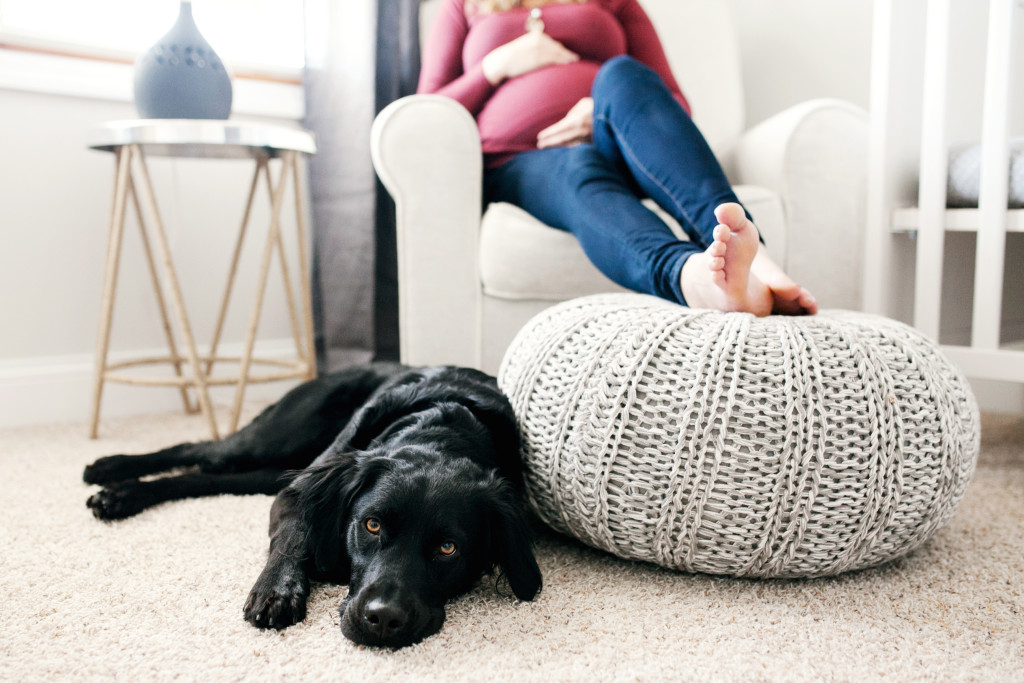 Cozy Winter Maternity Pictures Nursery