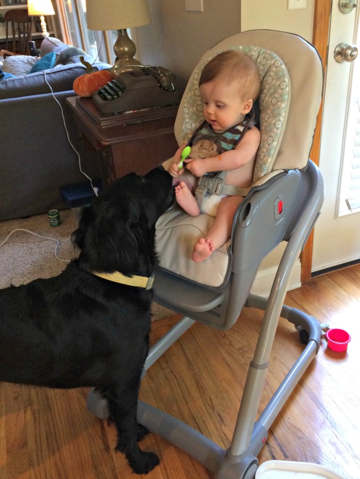 calebs-8-month-update-olive-and-high-chair