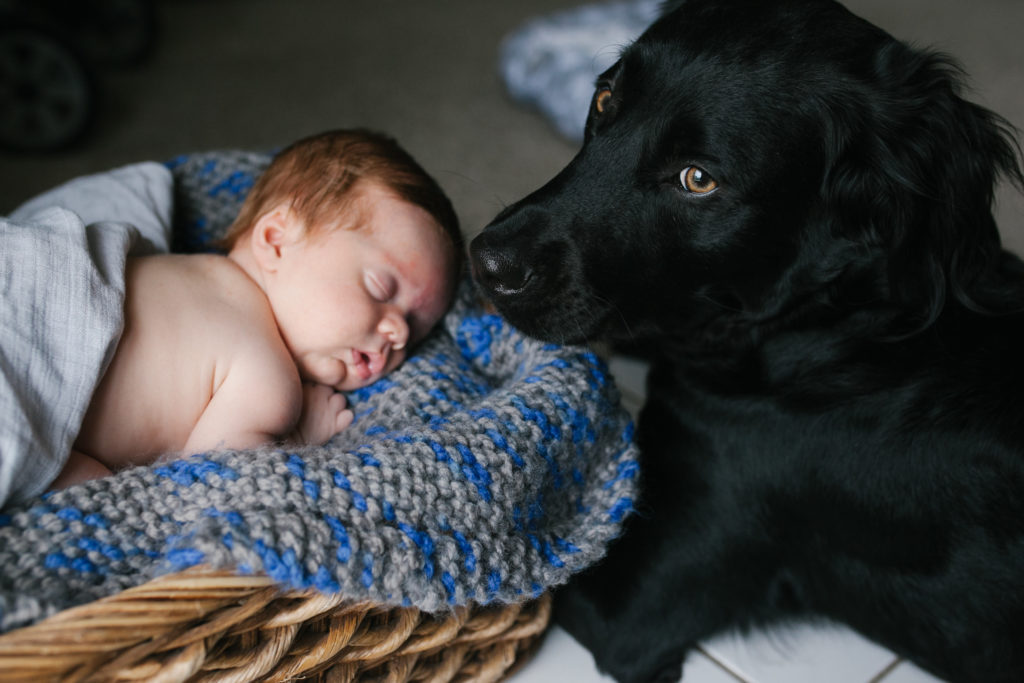 5-reasons-ive-loved-having-a-baby-and-a-dog-newborn-pictures