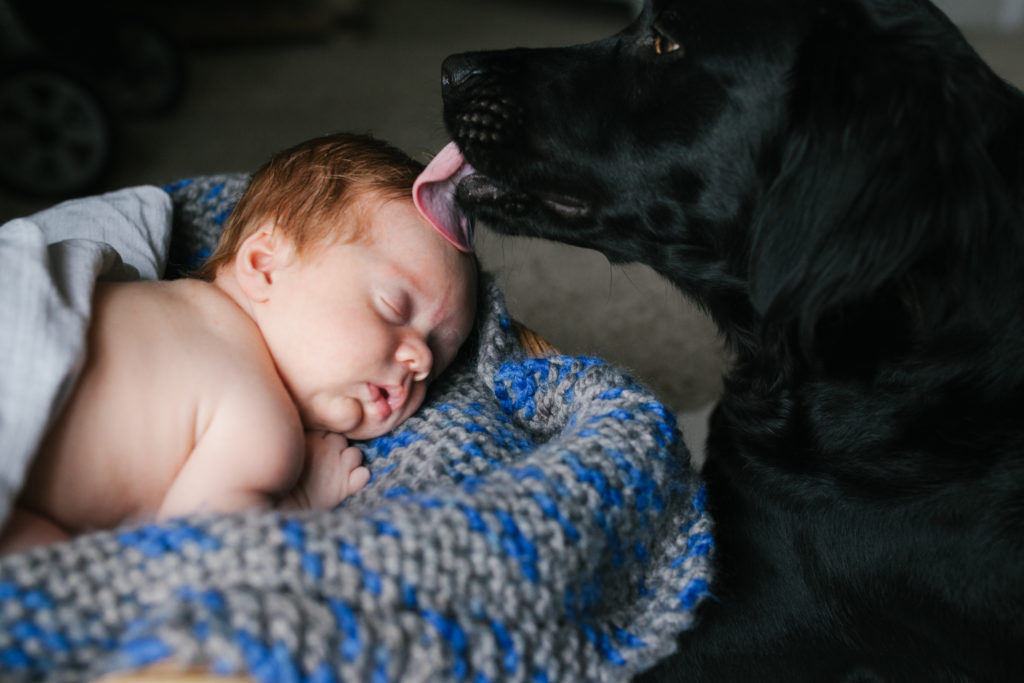5-reasons-ive-loved-having-a-baby-and-a-dog-puppy-kisses