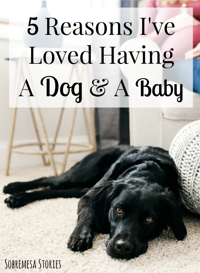 If you're nervous about having a dog and a baby, this post will help ease your mind! A must read for any expecting parents who are nervous about the transition to baby for their pet.