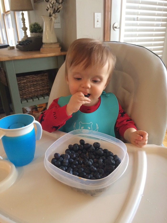 Caleb Twelve Month Update Blueberries