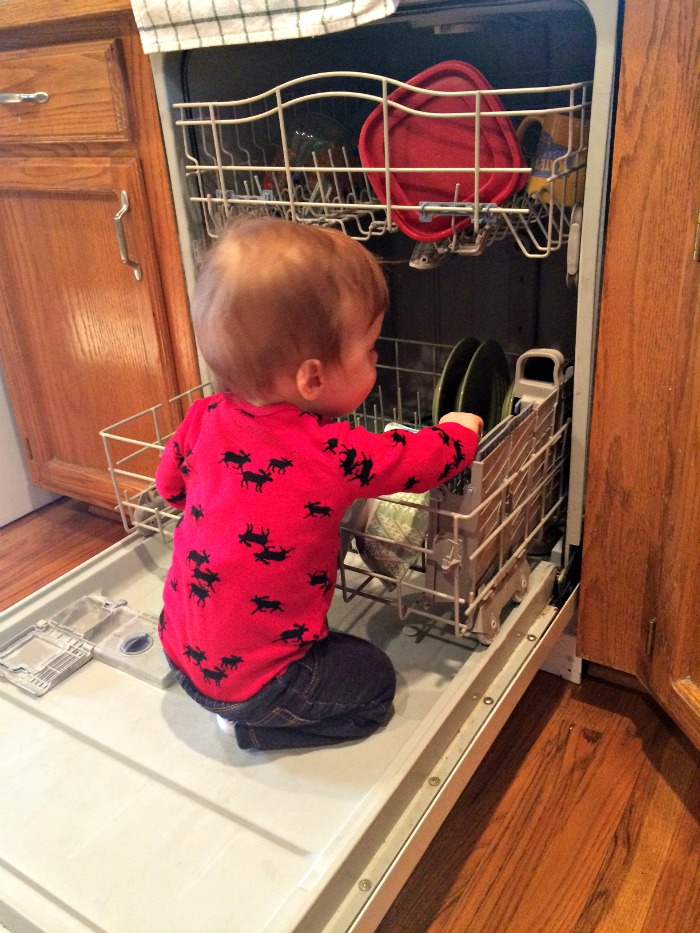 Caleb Twelve Month Update Dishwasher
